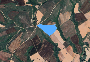 KIRKLARELİ MERKEZ ERİKLİCE 33.000 M² KÖY YOLUNA CEPHE YATIRIMLIK SATILIK TARLA 