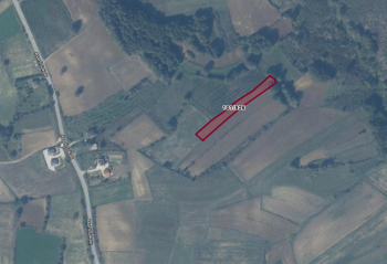 KÖYLERİN YANI BAŞINDA, ASFALTA 1 ADIM: KAYNARCA UĞURLU"DA 2.6 DÖNÜM TARLA YATIRIMLIK!