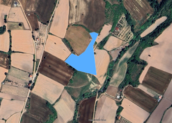 KIRKLARELİ MERKEZ ERİKLİCE 11.300 M²MERKEZE YAKIN YATIRIMLIK SATILIK TARLA 