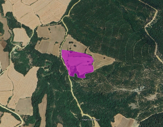EDİRNE KEŞAN SULUCA 23,550 M² SATILIK KADASTRO YOLU OLAN YATIRIMLIK TARLA 