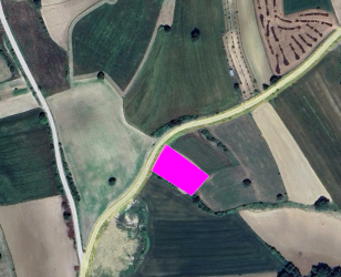 SAKARYA KAYNARCA TOPCU"DA 2.209 M² MÜSTAKİL TAPU, YOLA SIFIR TARLA